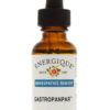 Gastropanpar-Homeopathc Remedy Dogestive Support Energique